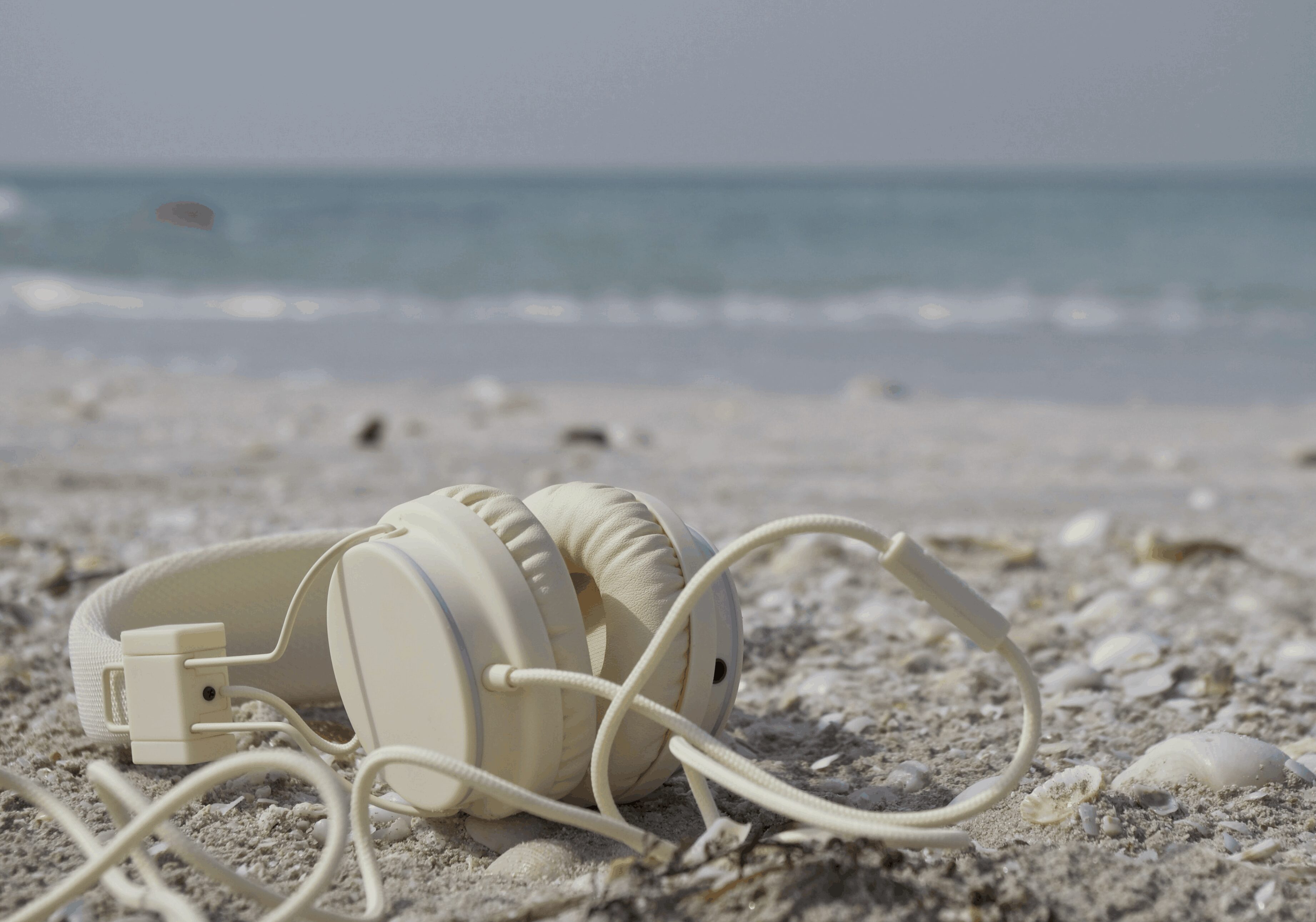 top noise cancelling headphones